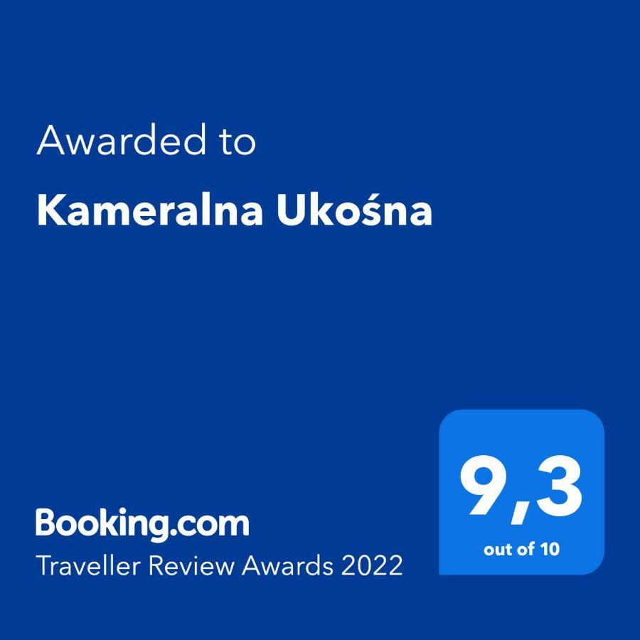Kameralna Ukosna Apartment Бялисток Екстериор снимка